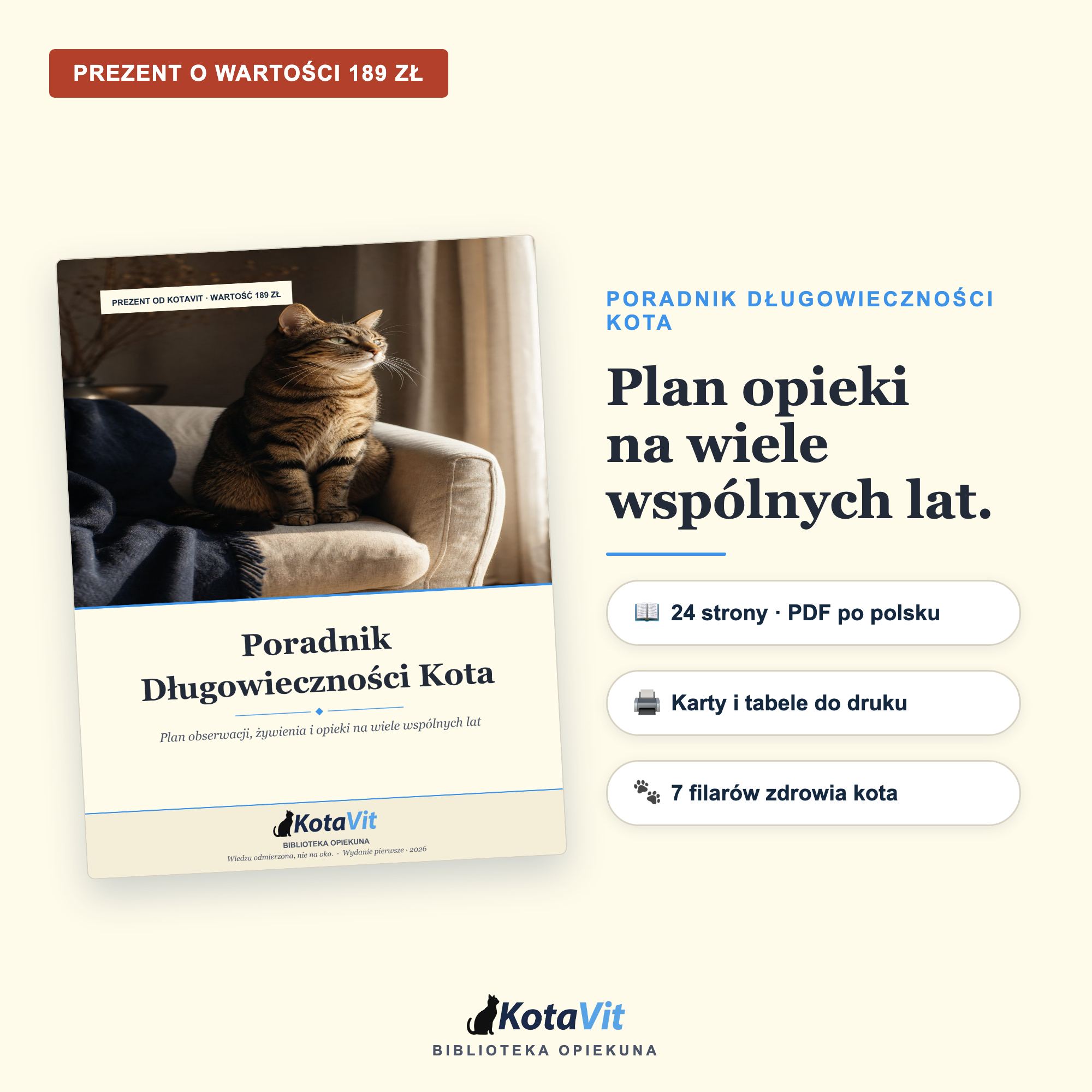 Poradnik długowieczności kota