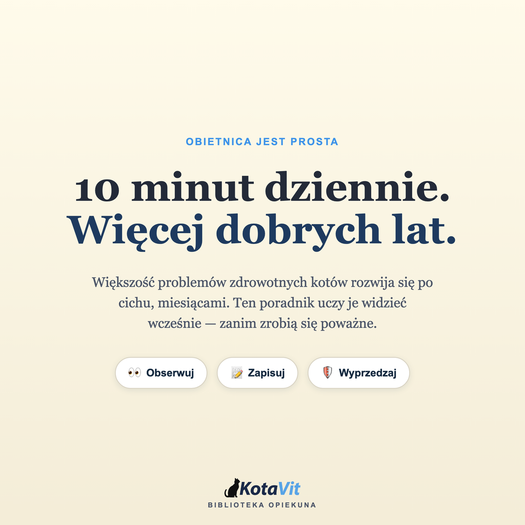 Poradnik długowieczności kota