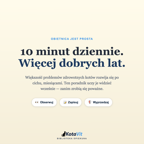 Poradnik długowieczności kota