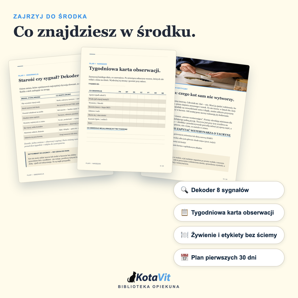 Poradnik długowieczności kota