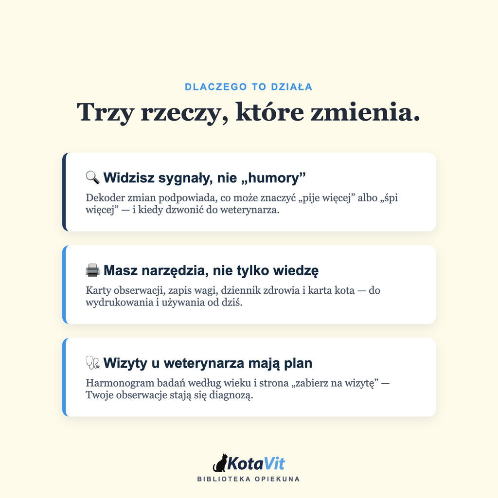Poradnik długowieczności kota