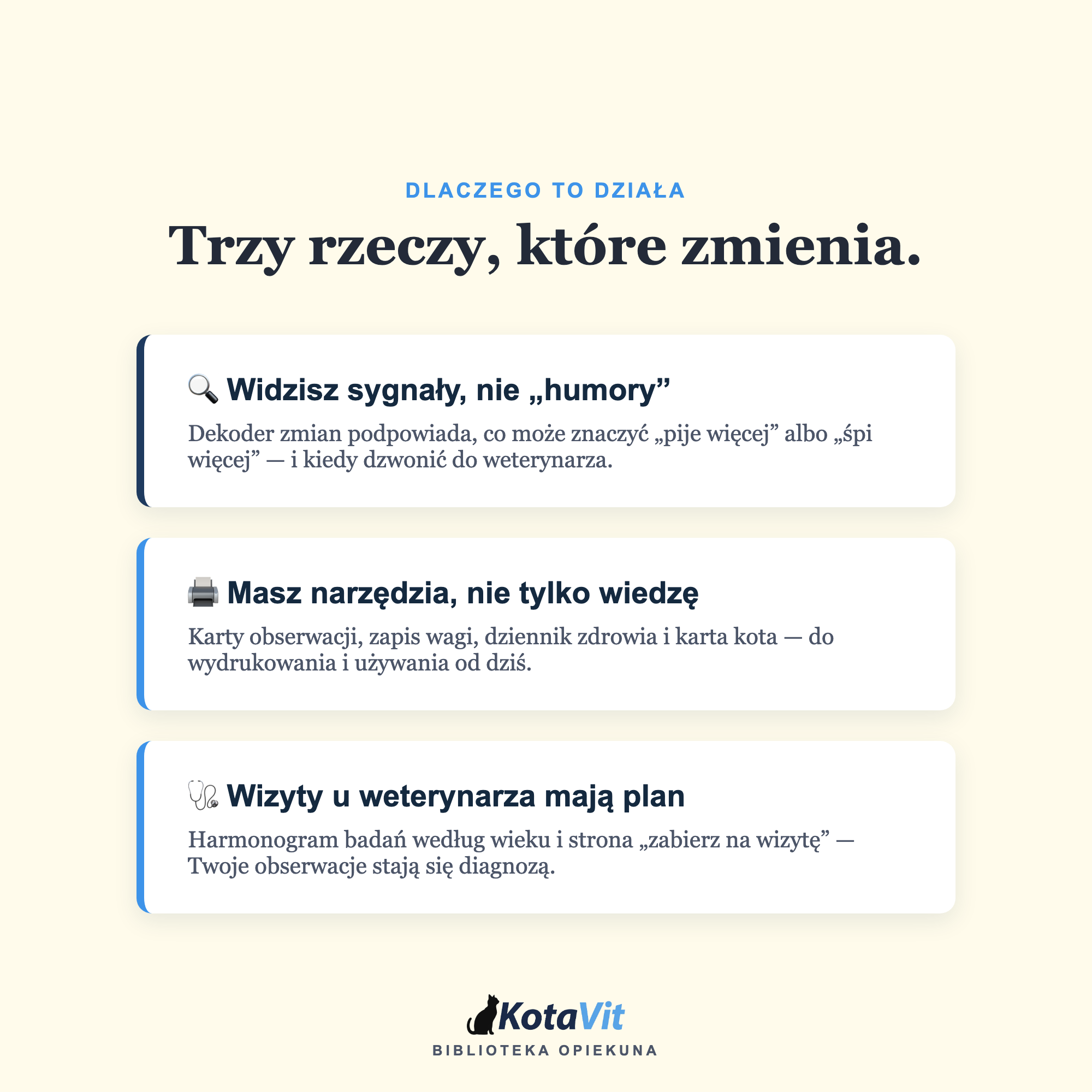 Poradnik długowieczności kota