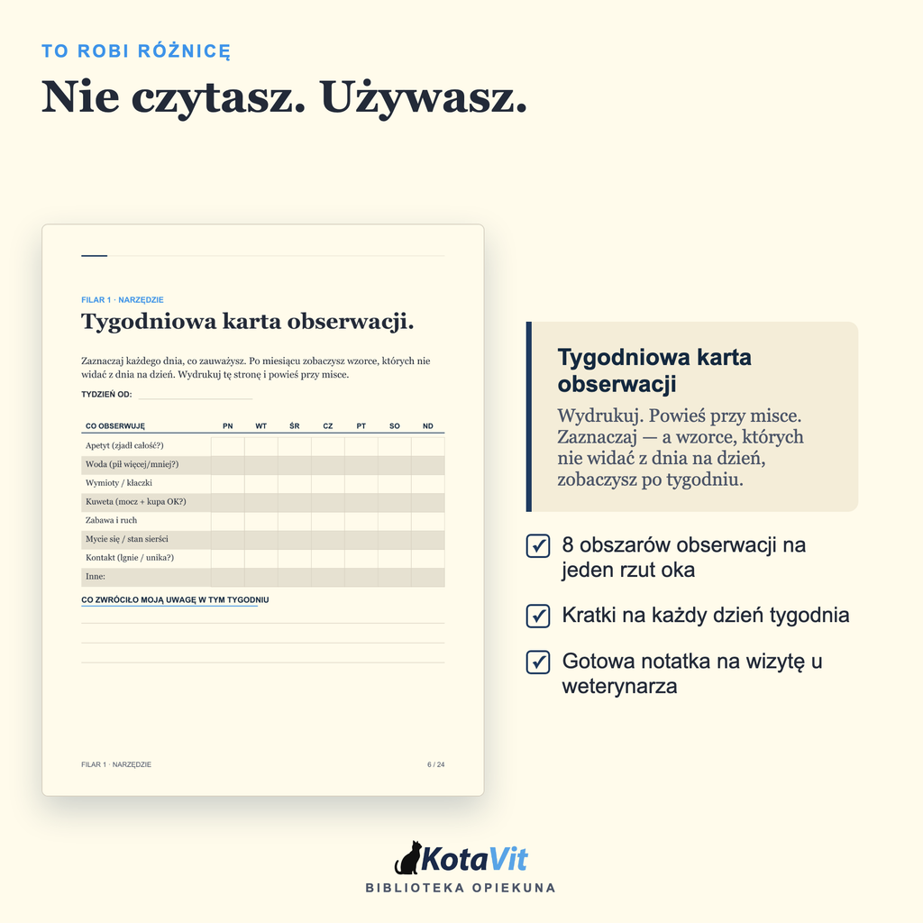 Poradnik długowieczności kota