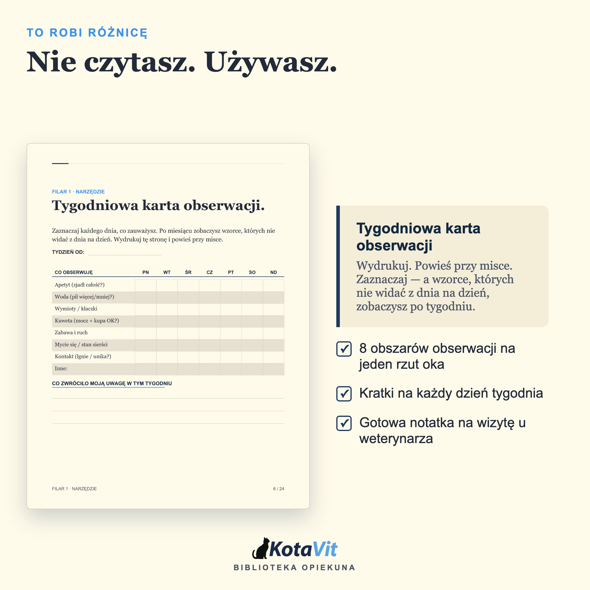 Poradnik długowieczności kota
