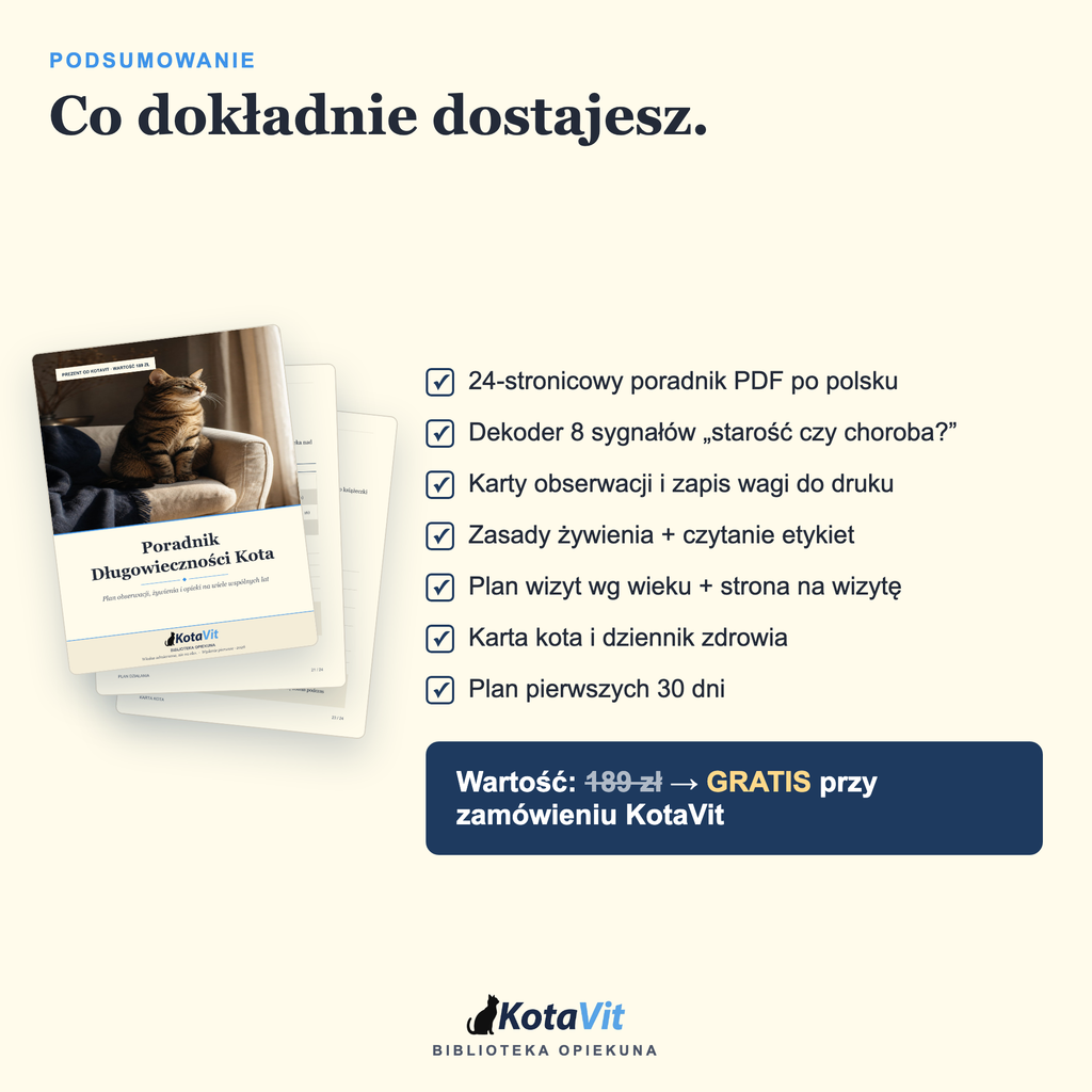Poradnik długowieczności kota